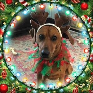 Meet your Posher, Debra